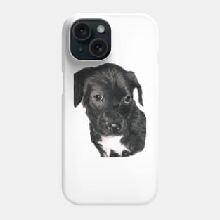 Shy black labrador pup... Phone Case