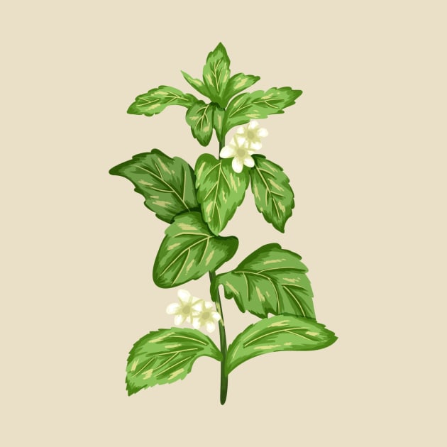 Stevia Plant  Botanical by Salfiart