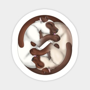 Yin-Yang Cats: Chocolate Point Magnet