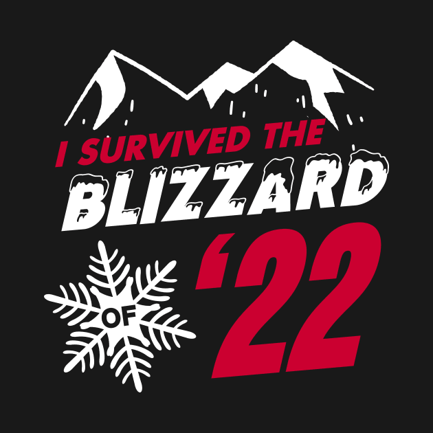 I survived the Blizzard of 2022 by geekmethat