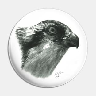 Osprey - bird of prey - fish hawk - bird lover Pin