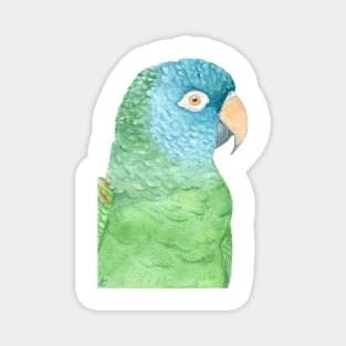 Watercolor blue crowned conure - parakeet painting Magnet