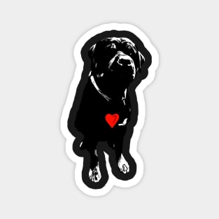 Rottweiler heart love Magnet