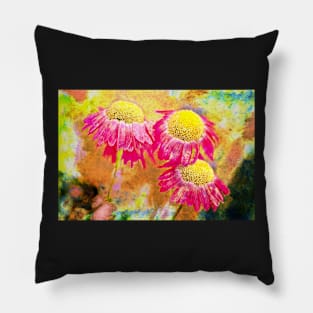 Three Pink Daisies Pillow