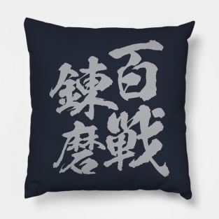 百戦錬磨 Japanese idiom / Veteran who has fighting experiences up by one hundred wars. Pillow