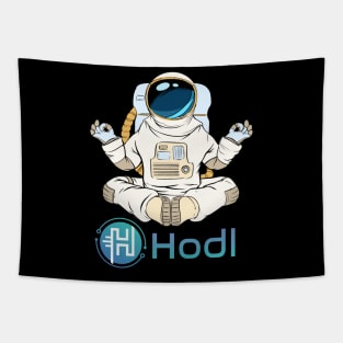 Hodl token Crypto Hodl coin Hodl token coin token Crytopcurrency Tapestry