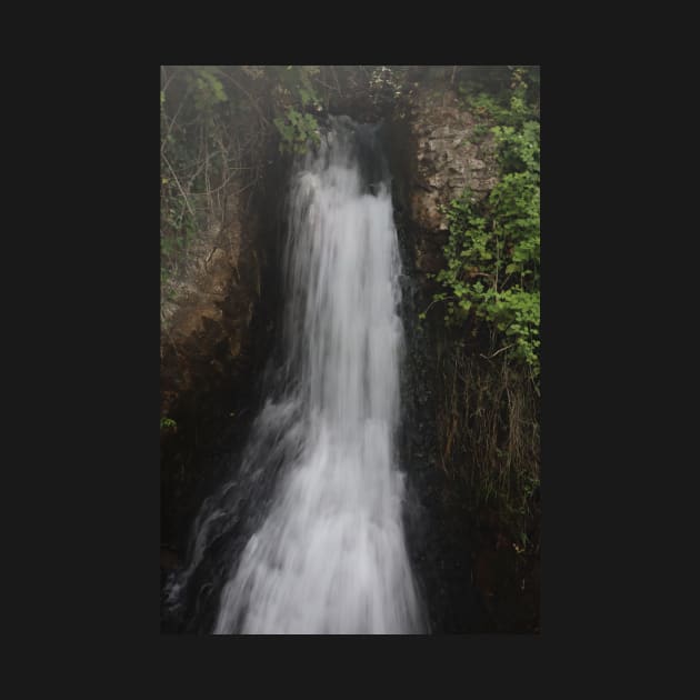 Switzerland - Rheinfall Schaffhausen - Small Waterfall by AnimaliaArt