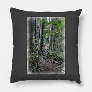 A Trail In The Forest Pillow