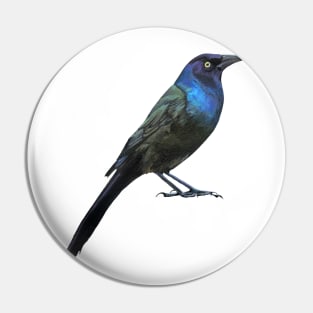 Grackle Business (no background) Pin