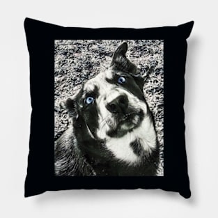 Husky Shepard Dog Pillow