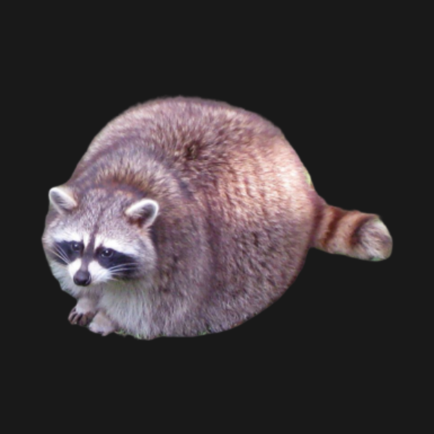 fat raccoon - Raccoon - Long Sleeve T-Shirt | TeePublic