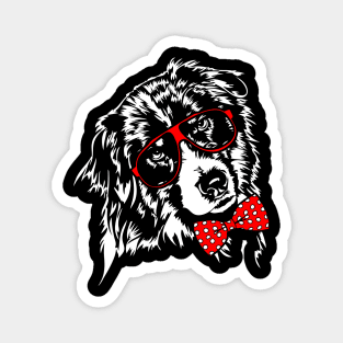 Funny Cute Australian Shepherd Aussie dog Magnet