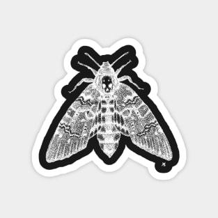 Dotwork Death's-head Hawk-moth (White) Magnet