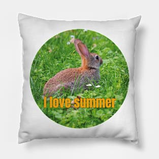 I Adore Summer! Pillow