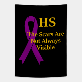 Hidradenitis Suppurativa HS The Scars Are Not Always Visible Tapestry