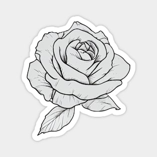 Dark rosebud Magnet