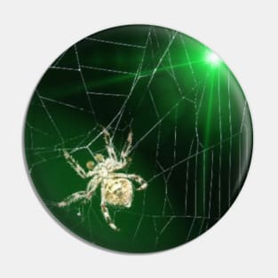 Spider Pin