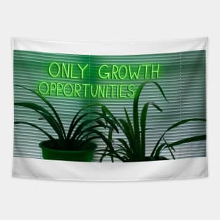 Growth Opportunities Tapestry
