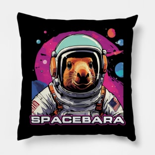 spacebara Pillow