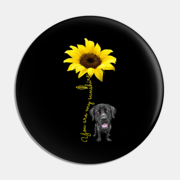 Labrador Retriever T Shirts Black Labrador Mom My Sunshine Sunflower Flower Labrador Retriever Gifts Tee Labrador Retriever Pin Teepublic