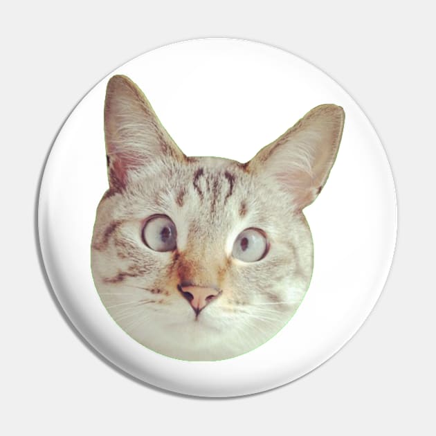 CAT Pin by ghjura