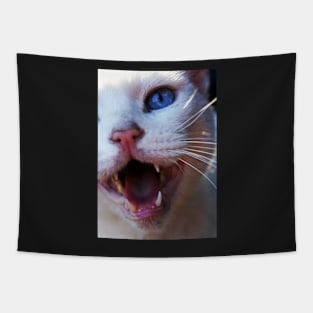 Cat's Meow Tapestry