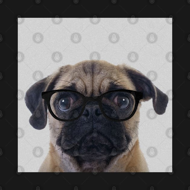 Geek Pug - Print / Home Decor / Wall Art / Poster / Gift / Birthday / Pug Lover Gift / Animal print Canvas Print by luigitarini