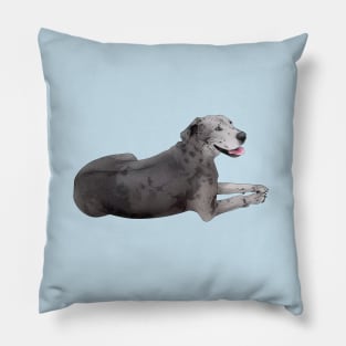 Great Dane Pillow