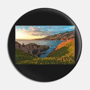 California Coast Summer Pin