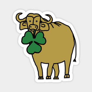 St Patricks Day Ox with Shamrock Magnet