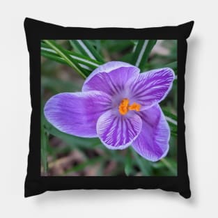 Purple, white and orange flower 3 Pillow