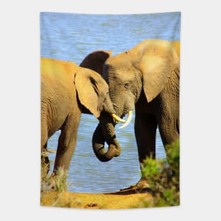 African Wildlife Photography Elephant love Tapestry