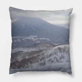Take me to the ski fields! Pillow