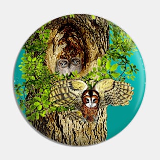 Nesting Owl Pin