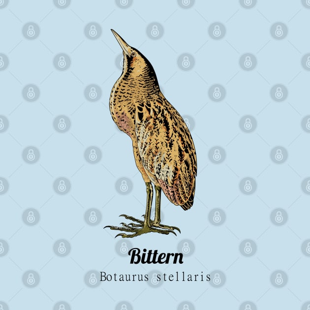 Bittern by Frajtgorski