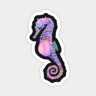 Cool Purple Pink and Blue Seahorse Magnet