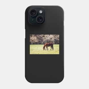 New Forest Pony Phone Case