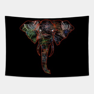 Web Head Elephant v3.4 Tapestry