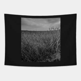 Norfolk reed bed Tapestry