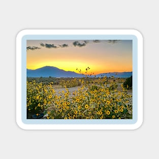 Sunrise and Sunflowers in New Mexico Magnet