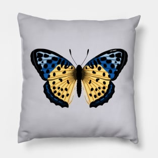 Yellow and Blue Butterfly Pillow