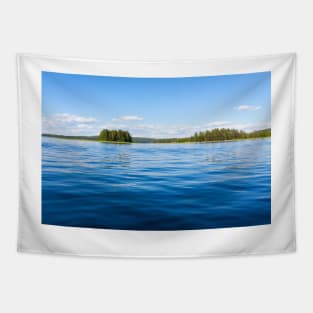 Finland lake scape at summer Tapestry