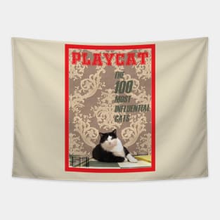 Playcat Tapestry