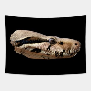 Boa Snake Head Black / Swiss Artwork Photography Tapestry