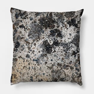 Granodiorite 2 Pillow