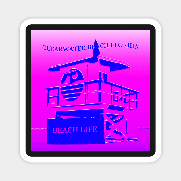 Clearwater Beach Florida Magnet by dltphoto