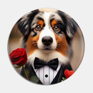 Australian shepherd dog in tuxedo with rose Pin