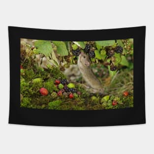 Little mouse nibbling the brambles Tapestry