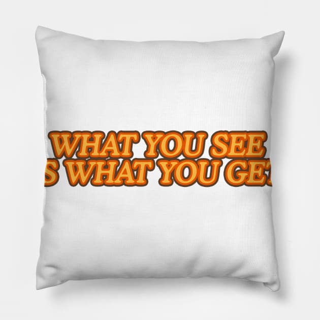 What you see is what You Get! Pillow by nickbeta