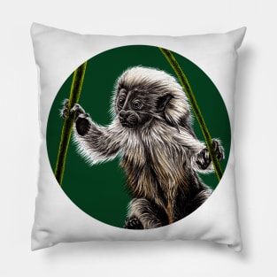 Baby cotton-top tamarin Pillow